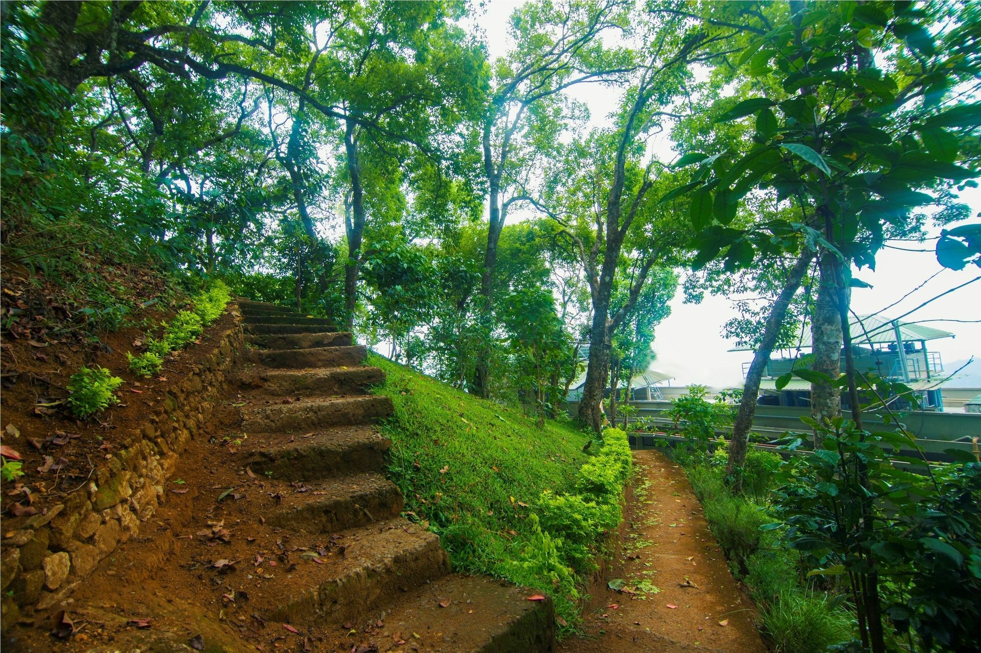 Forest Glade Resorts Chithirapuram Luaran gambar